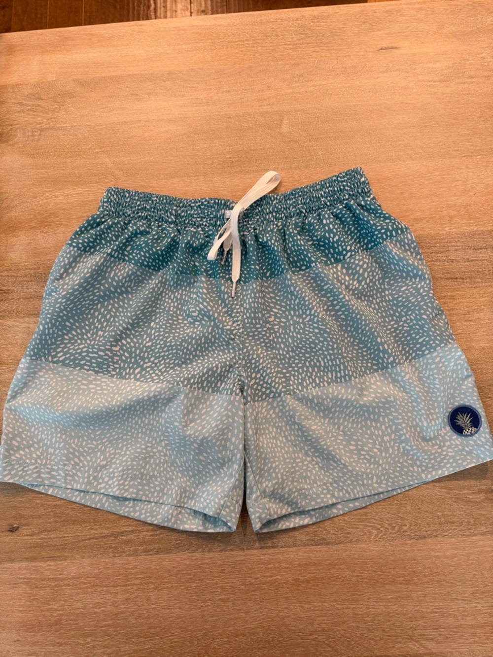 Men’s Chubbies Swim Trunks